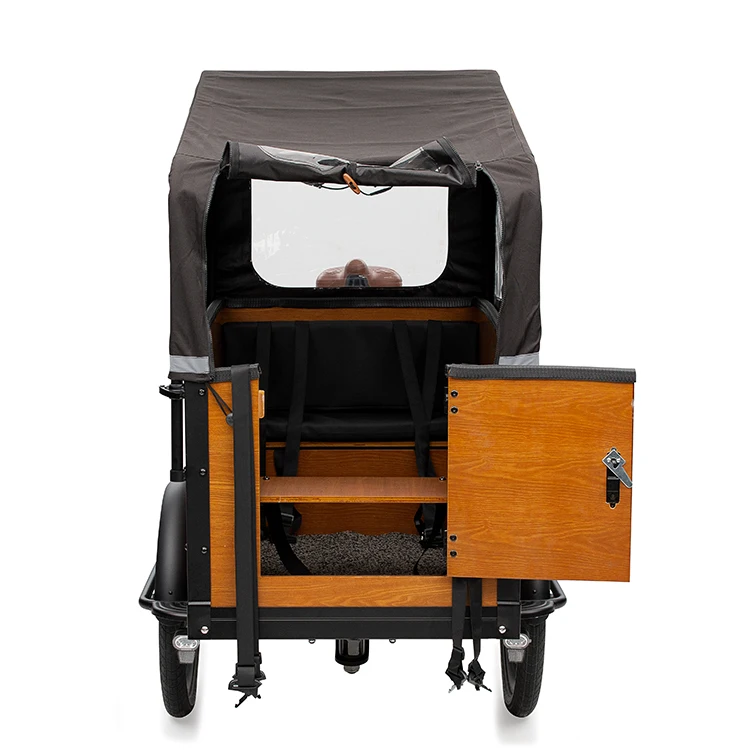 Family Use three wheel electric tricycle 250W 48V mid drive electric cargo bike e bakfiets for cargo delivery