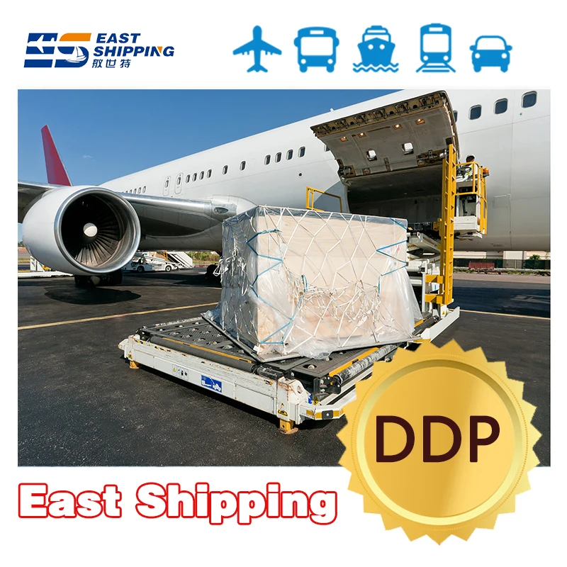Express Sea Freight FCL LCL Container Shipping Clothes From China to Venezuela East Agent Forwarder