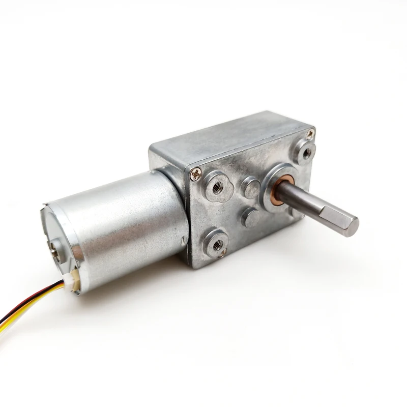 Micro high torque dc worm gear motor 12 volt 24v brushless dc motor