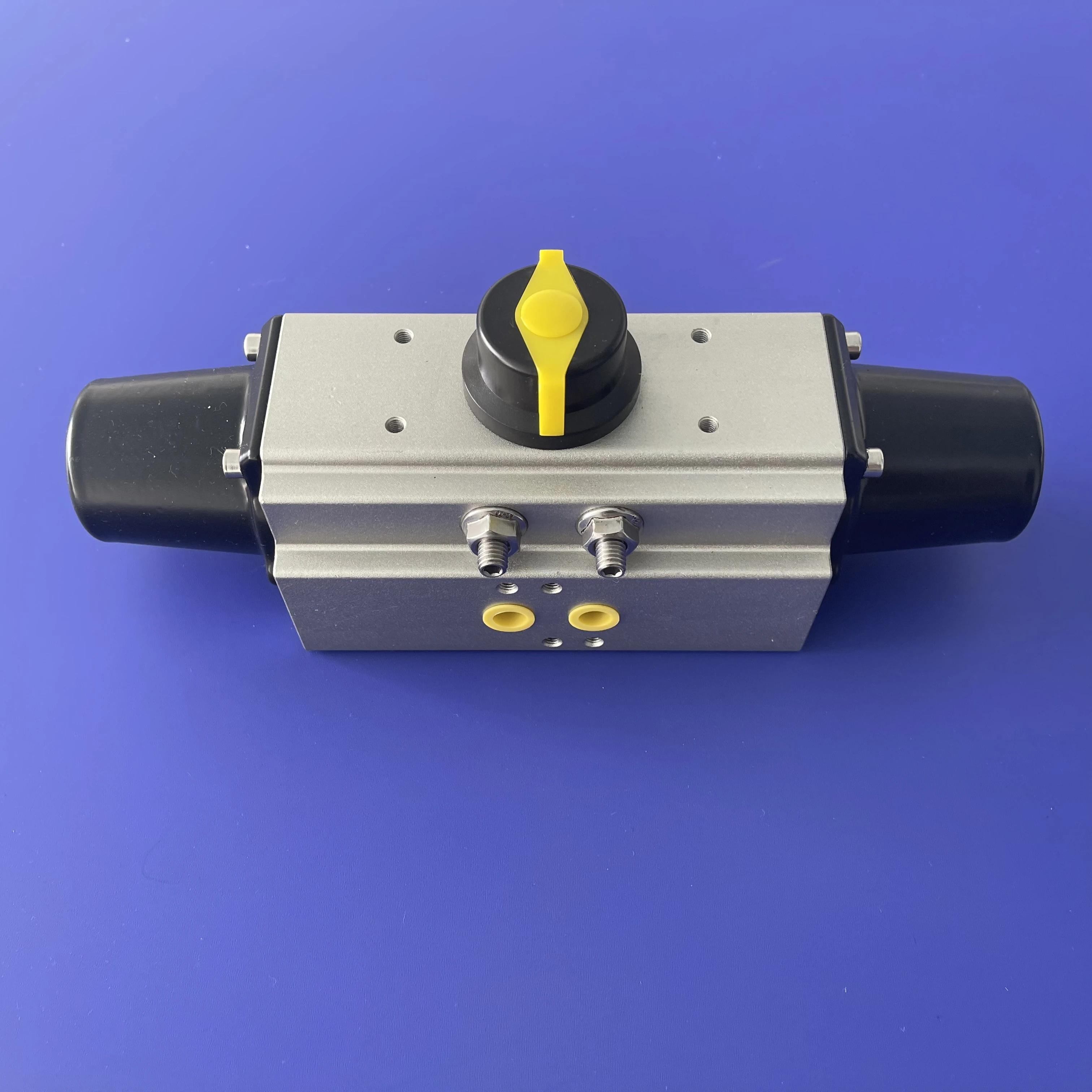 Control valve Digital positioner with Pneumatic Actuator Filter regulator