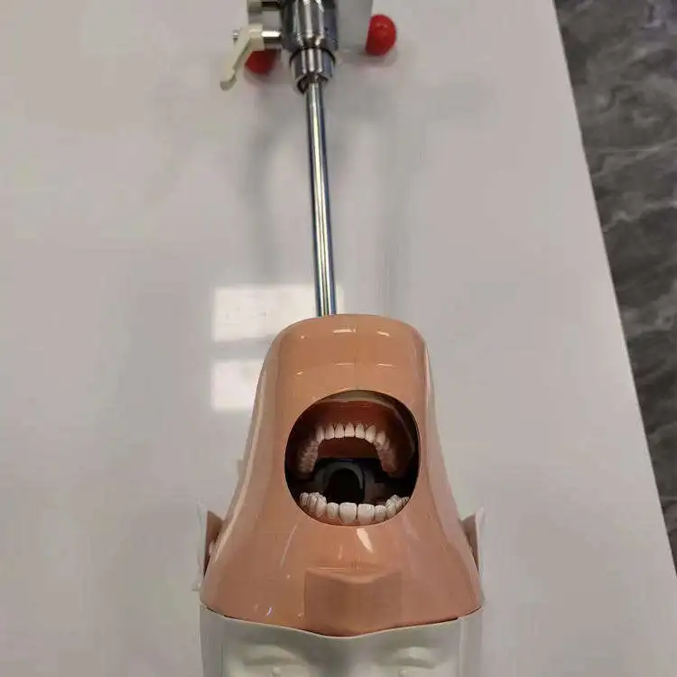 dental teeth model manikin training phantom head instructor workstation