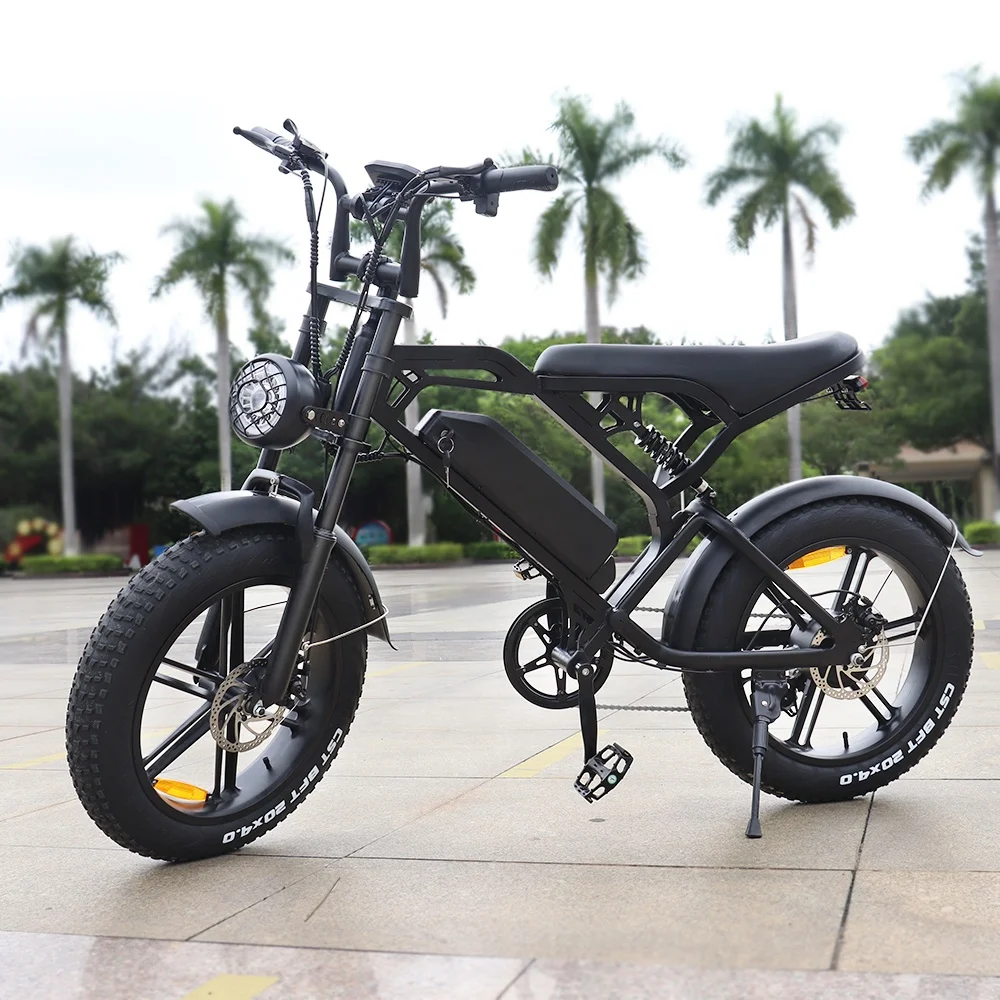 Holland Warehouse  Lithium Battery Fat Tire Electric Bike OEM 48V Rear Hub Motor Electronic Bike 1000w Electric Bicycle