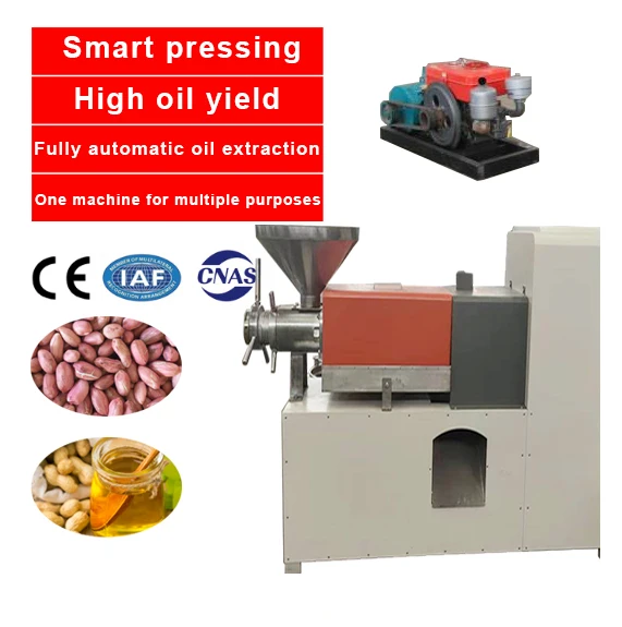 150-260kg/h Professional Palm Nut Almond Soya Bean Oil Press Machine Plant Industrial Oil Press Machine On Sale