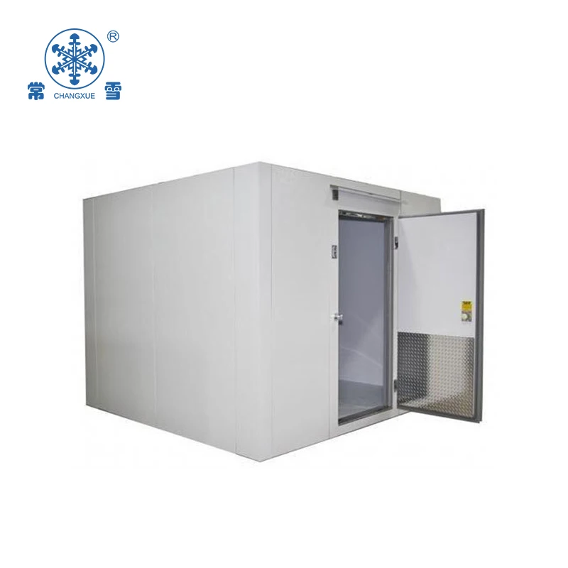 Customized Size Blast Freezer for Sale Frozen Fish, Chicken and Shrimp Storage Cold Room