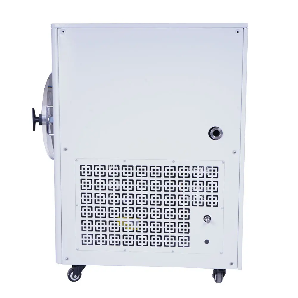 ZONELINK Best Price fruit vegetable chilli vacuum freeze drying machine home freeze dryer lyophilizer