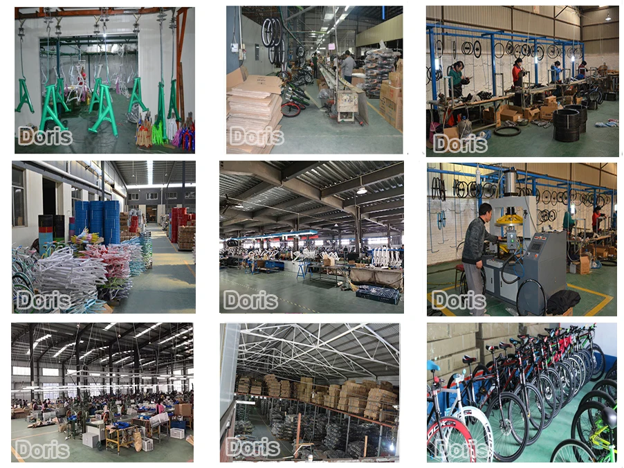 Doris Guan factory.jpg