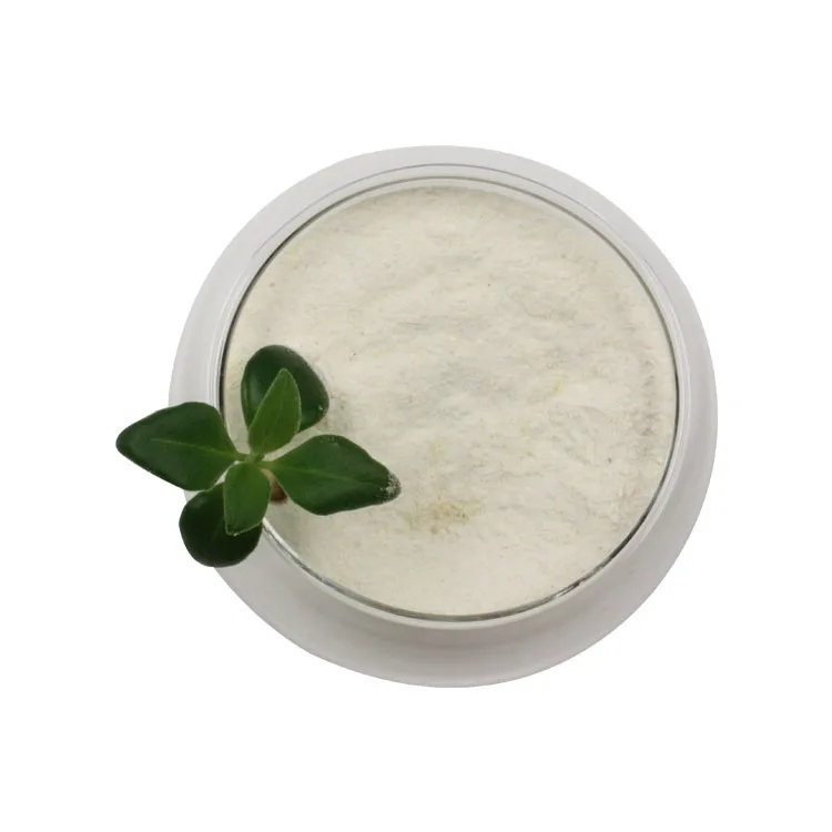 Wholesale Pure Lactobacillus Reuteri Probiotics Powder Good For The Gut