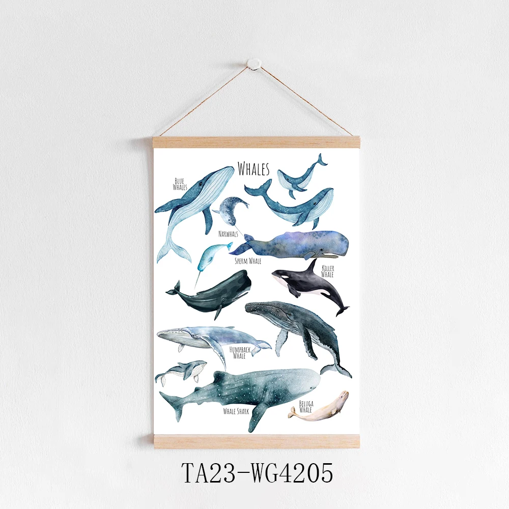 Still Life Shark Educational 11 x 14 Inch Print Sea Animal Wall Art Canvas Shark Theme Suitable for Home Bedroom Living