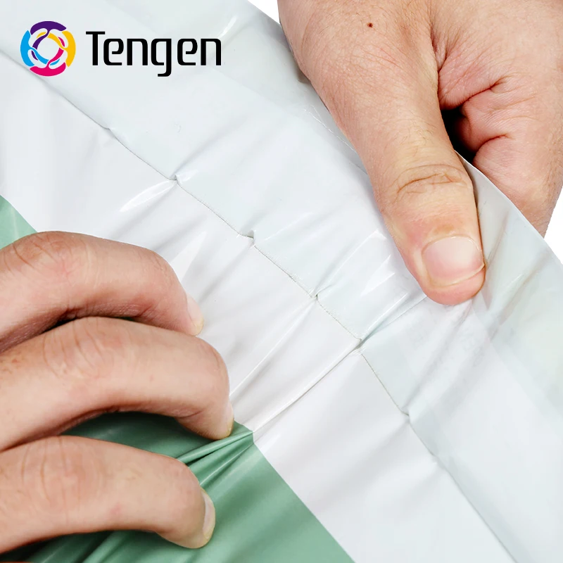 Eco-friendly Biodegradable Waterproof Self Adhesive Plastic Packaging Bag Polymailer