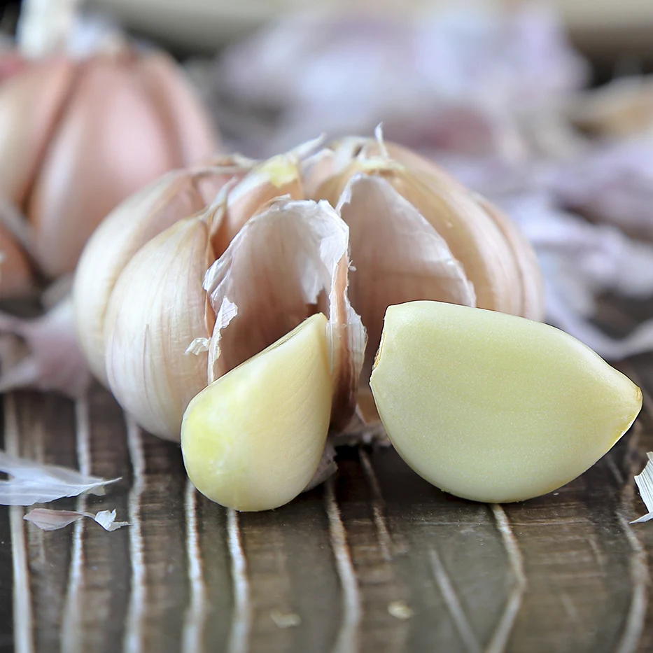 
Export Chinese fresh garlic high quality garlic wholesale 