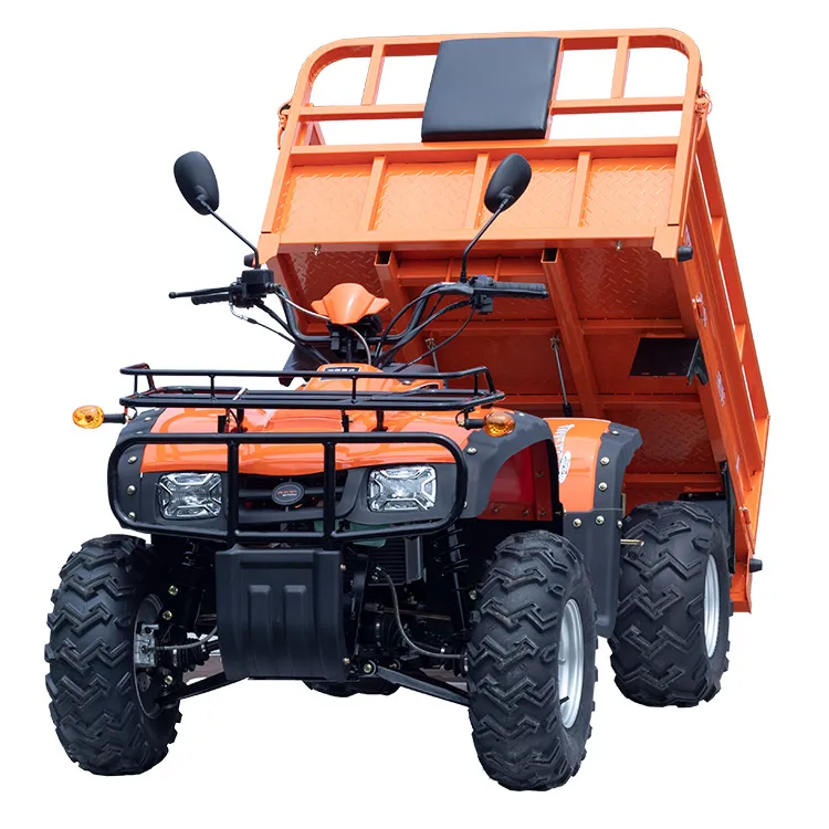 Wholesale 250cc 300cc New 4 Four Wheel ATV/UTV 4X4 for