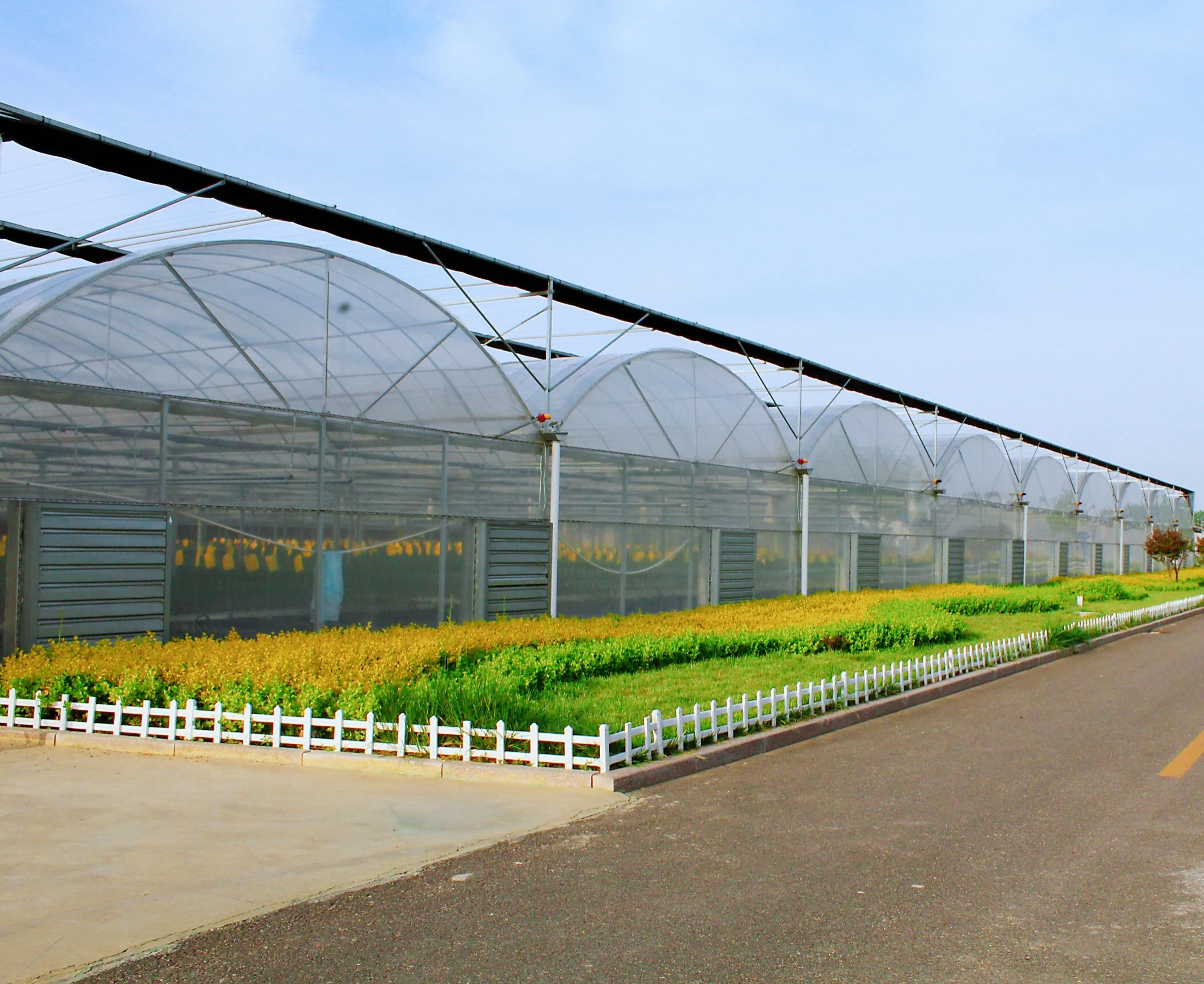 Завод Hangmei, поставщик, многопролетный полный поликарбонатный лист, проект под ключ для сельскохозяйственной теплицы