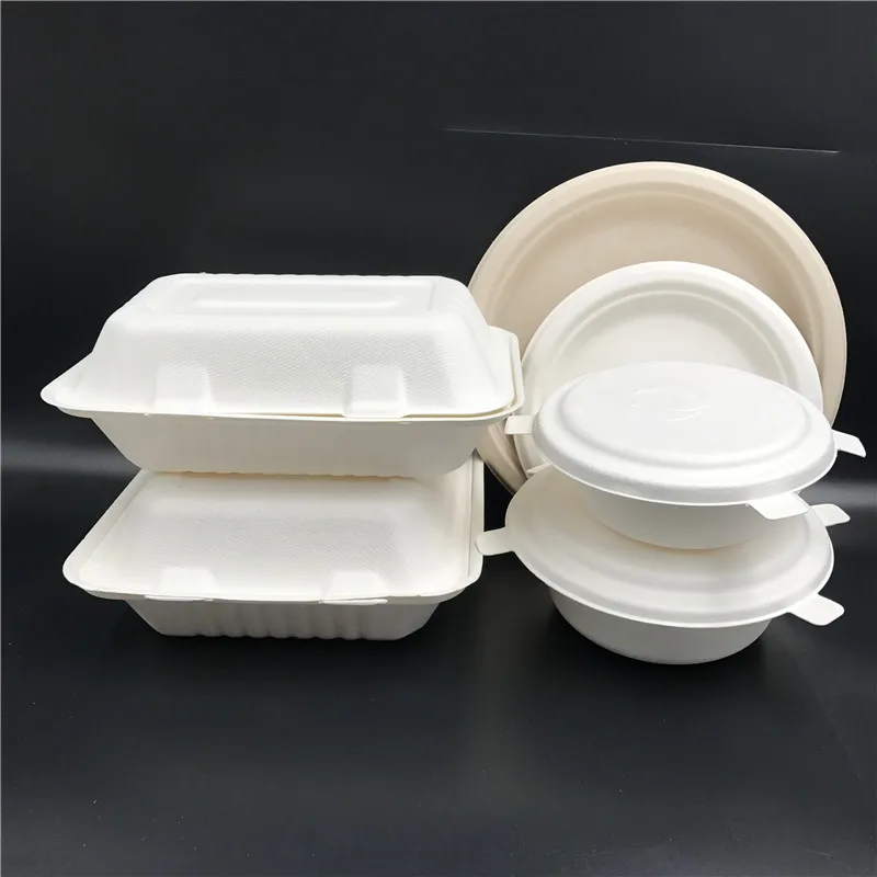 2024 New style eco bagasse container disposable take out bento box biodegradable to go lunch box for school