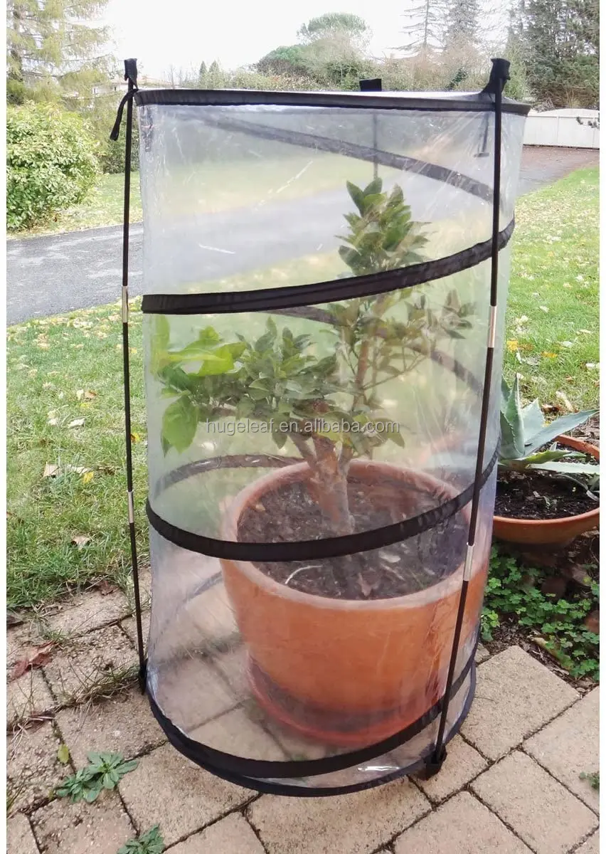 Portable Mini Twist Up Tomato Cloche Lightweight Gardening Plant Cover Plant Protection Pop Up Garden Greenhouse