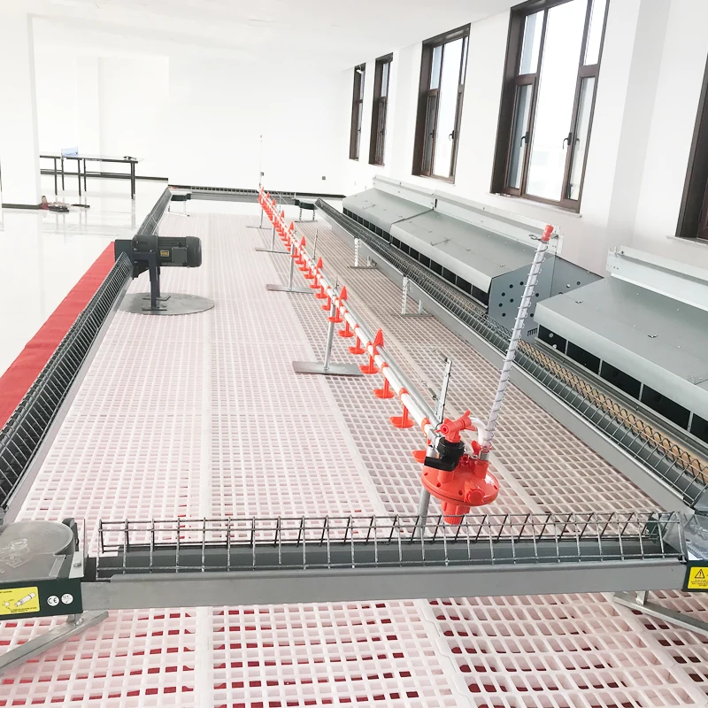 Автоматическая раскладка гнездо для сборщика курицы разведения большая коробка 160 куриц