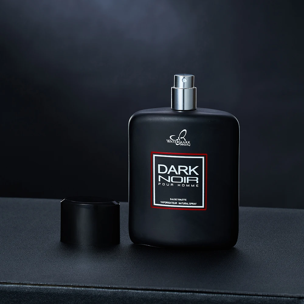 Wholesale Private Label Custom 100ml pour homme parfum Woody Aromatic Men Parfum Fragrance Cologne Eau De Parfum