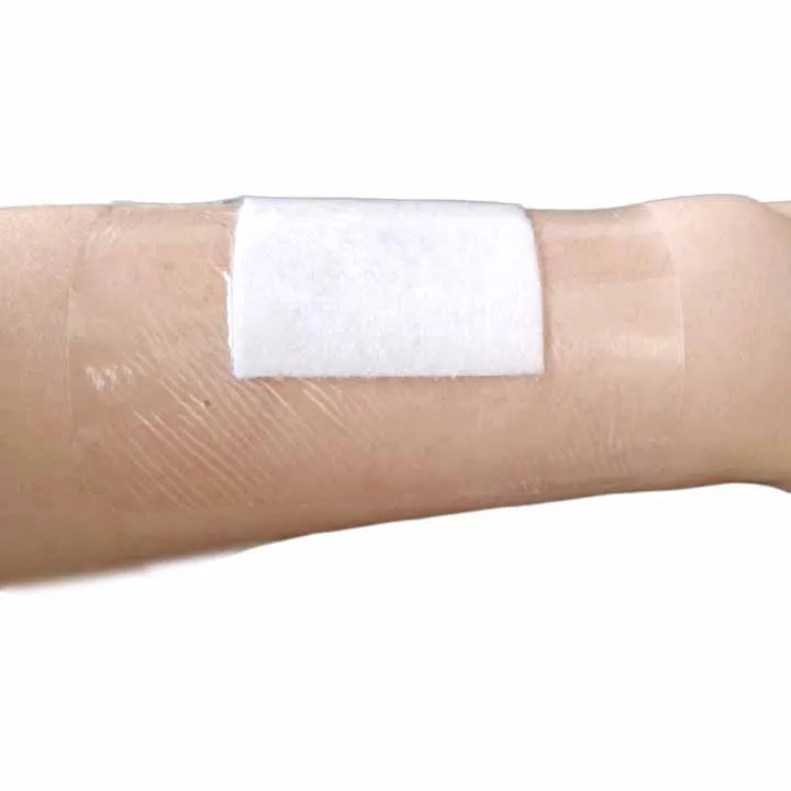 Waterproof & Breathable Bordered Transparent PU Film Dressing with Alginate Absorptive Pad for Wound Care