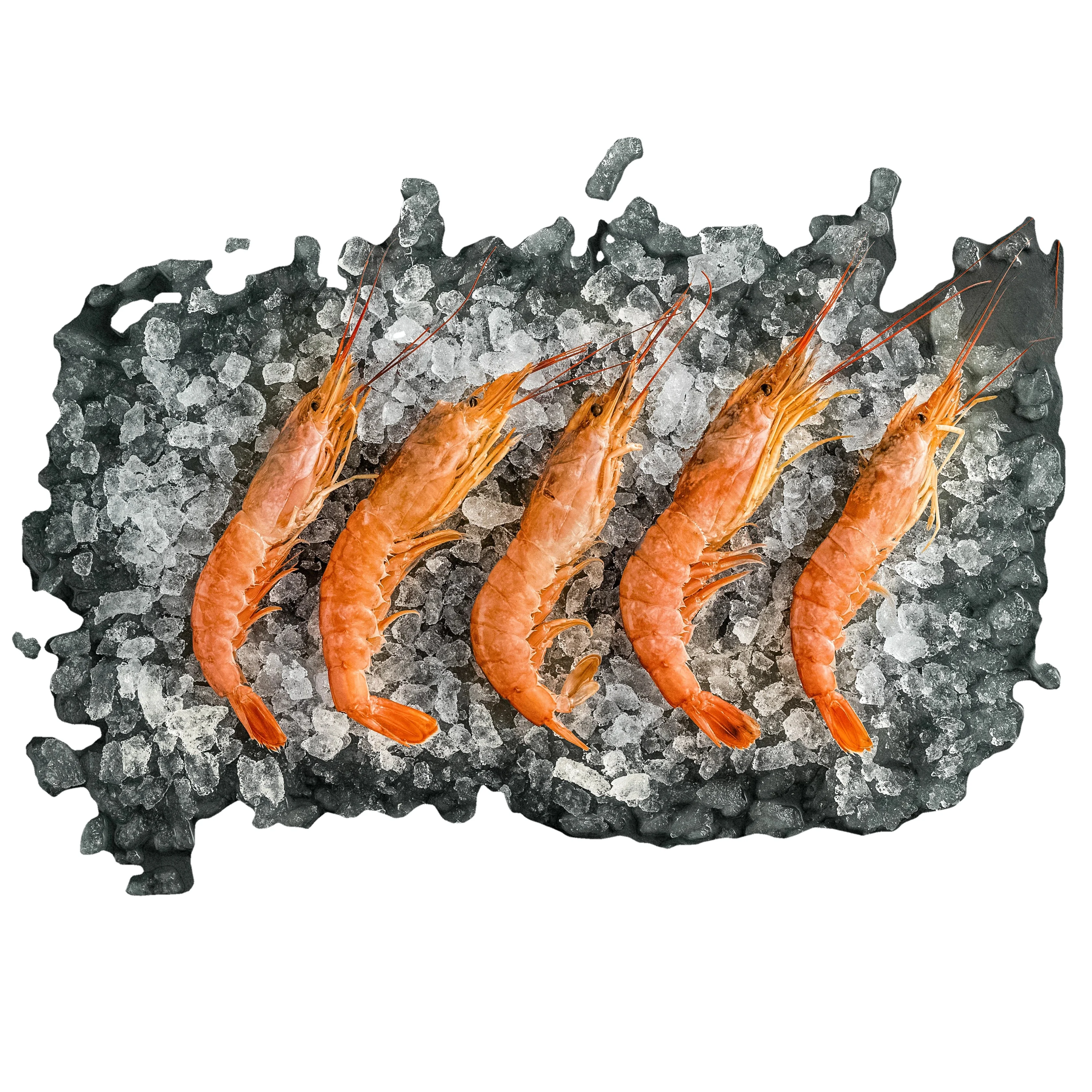 Buy shrimp white pawns whole hot sale available