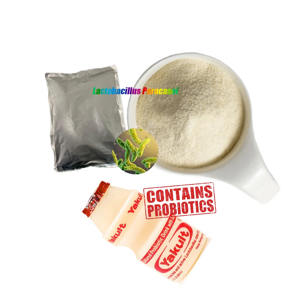 High grade Freeze dried probiotics powder of Lactobacillus paracasei for fermented foods and probiotic-fortified foods