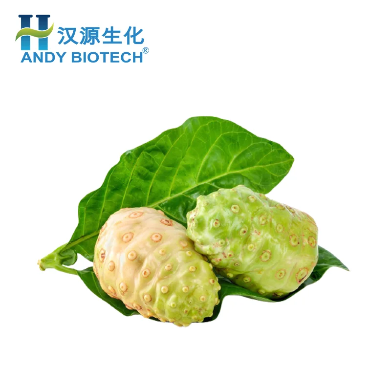 Food grade Noni Fruit Extract Powder , Healthy Supply Dried Noni Fruit Powder