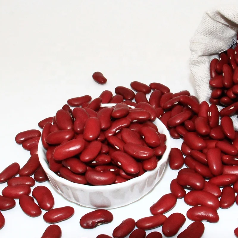 Высококачественная сушеная фасоль для продажи