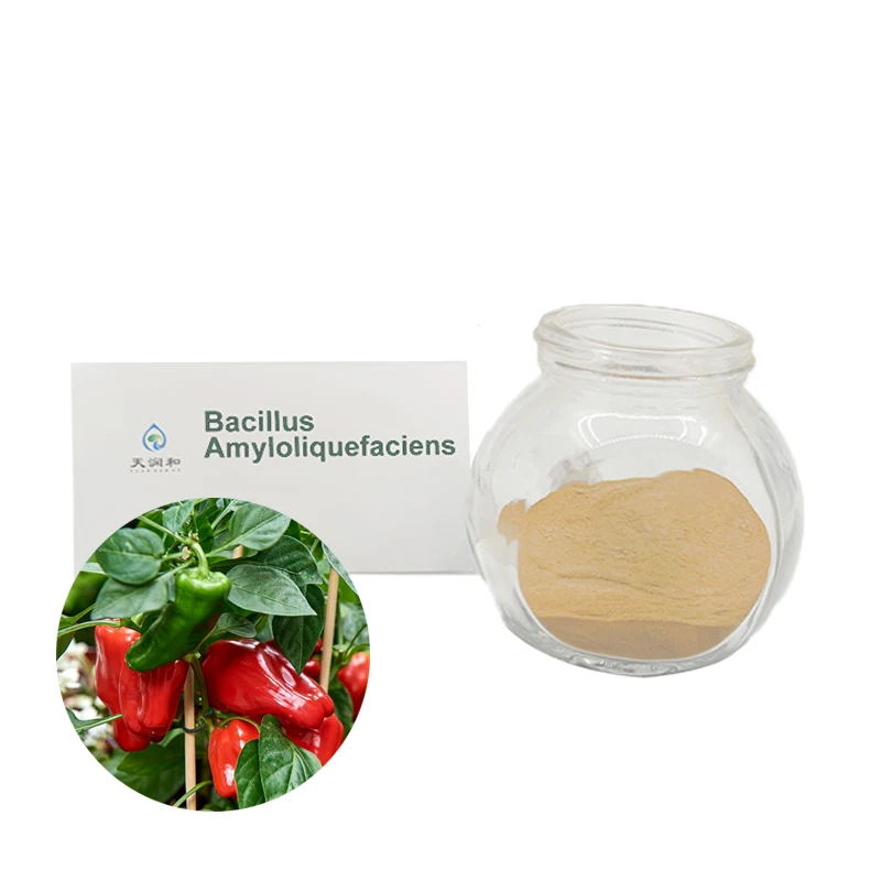 pet kelp probiotic powder formula amyloliquefaciens