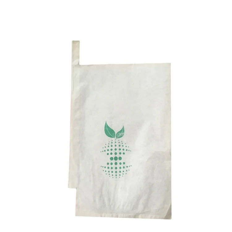 Wholesale customized waterproof  fruit growing protection wrapping mango paper bag grape bags for fruit grow