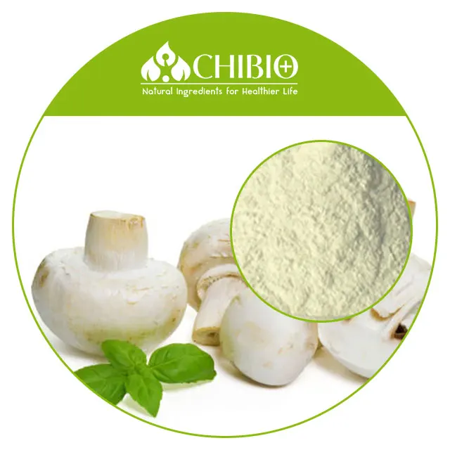 Film Forming Best Choice Factory Supply Hight Quality Fungal Mushroom Chitosan