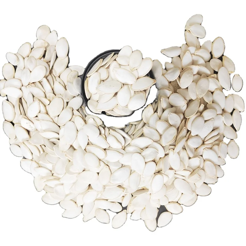 Новейшие семена белоснежной тыквы 11 см для экспорта поставка с завода белоснежные семена тыквы съедобные