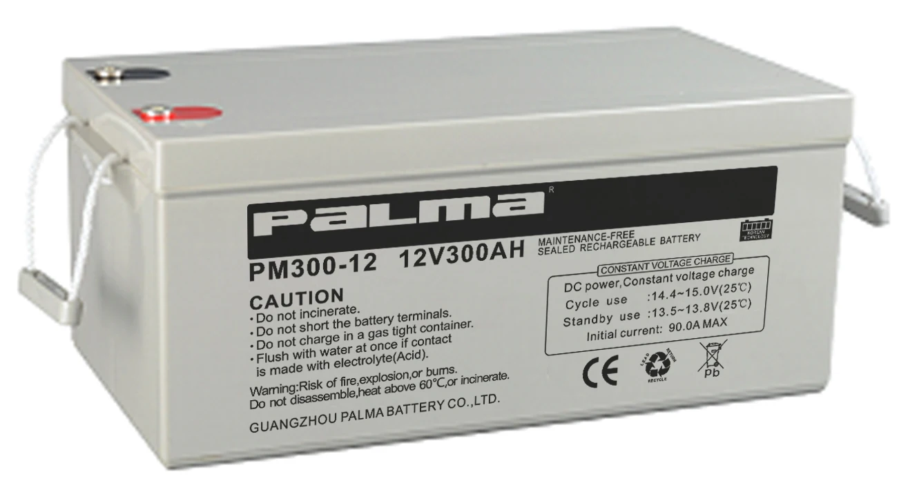 PM300-12 (2).jpg