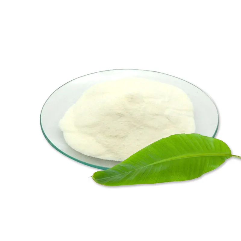 Лидер продаж, порошок сахаромиз буларда, пробиотики, стрептококк термофил для йогурта