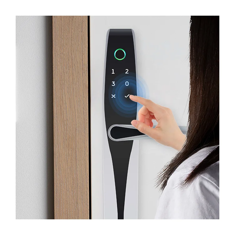 China Best Graffiti Fingerprint Password Home Smart Lock Nfc Connection Smart Door Lock