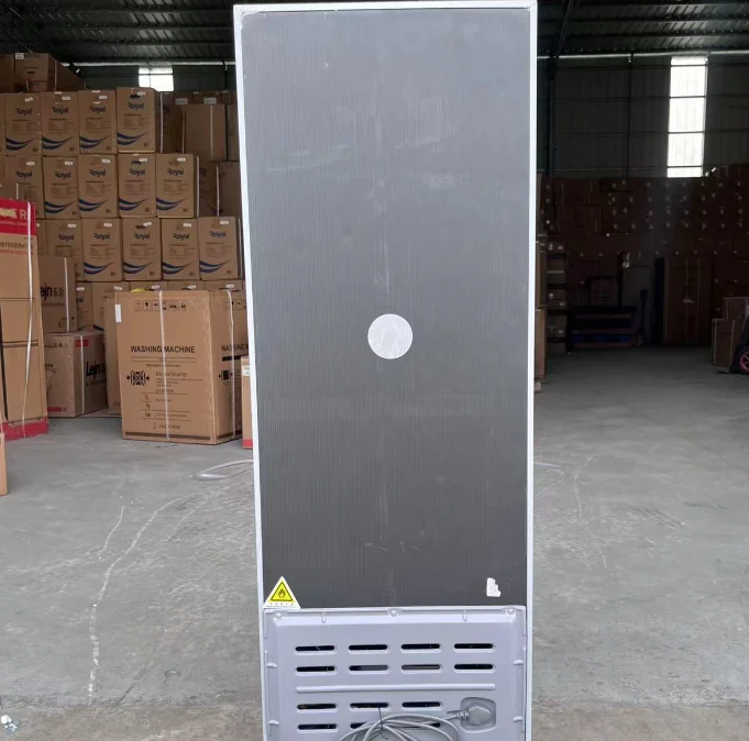 Two doorsrefrigerator household cold air cold storage frozen double door Refrigerator Household Refrigeration Equipment