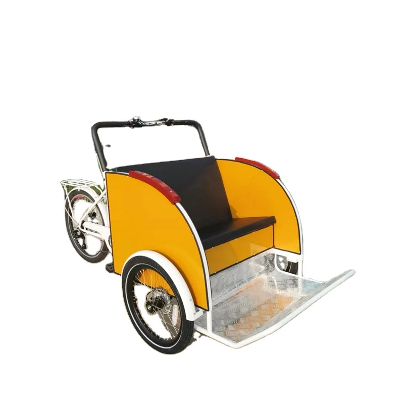 2023 семейное детское сиденье с толстыми шинами трехколесный электрический велосипед Электрический Грузовой Велосипед электронный собакой и кошкой