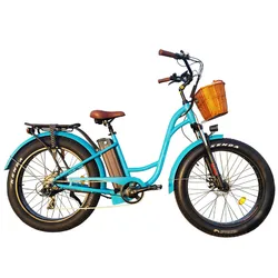 Cheap Sale of New Medium Sized Step Through Electric City Bike 26inch Mountain Bike