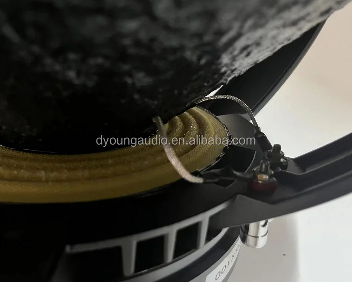 Single 18 double 18 inch speaker box outdoor subwoofer 220 mm magnet 100 mm coil loudspeaker 18TBX100