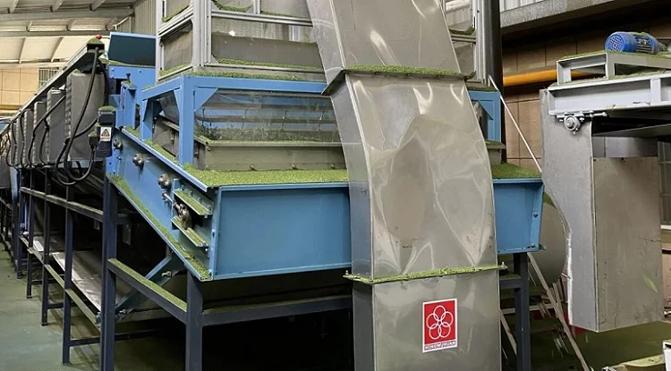 Зеленый порошок маття Аргентина банка Оловянная круглая упаковка