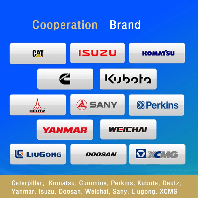 Engine parts for Kubota V1505 V2203 V2300 V3800 CAT Engine 3066 3304 3306 C4.4 C6.4 C6.6 C7 C9 C10 C13 C15 C18 for excavator