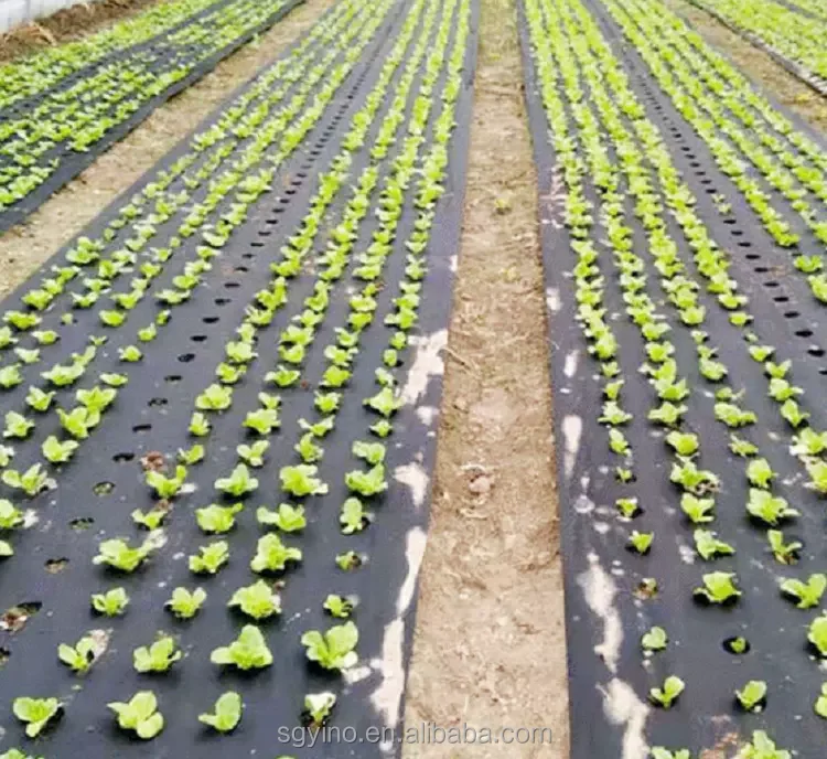 Garden Non Woven Fabric Weed Barrier Geotextile Landscape Fabric Weed Mat Ground Cover Weed Control Non Woven Fabric