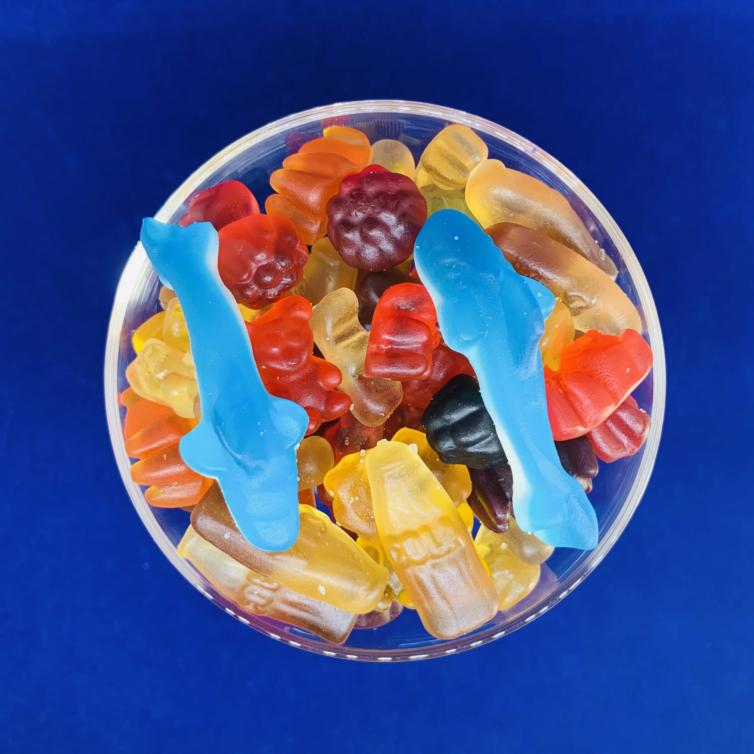 SWEETS CLEAR GUMMY CANDY GRIZZLY BEARS BULK GUMMY