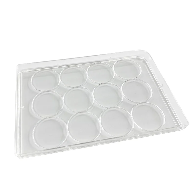 6/12/24/48/96-well Ps Multiwell For Laboratory Non-treated Tc Sterile Plastic Tissue Cell Culture Plates 6 12 24 48 96 Well
