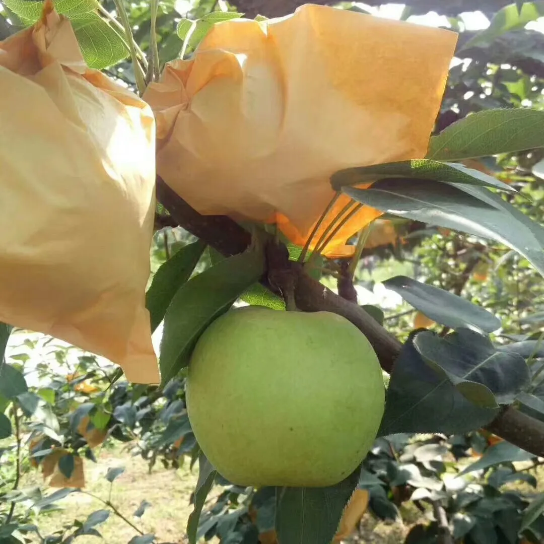 Cheap Price China Emerald Pear