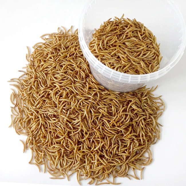 
100% Natural Pure Pet Food 400g Without Added Dried Mealworms For Wild Birds 