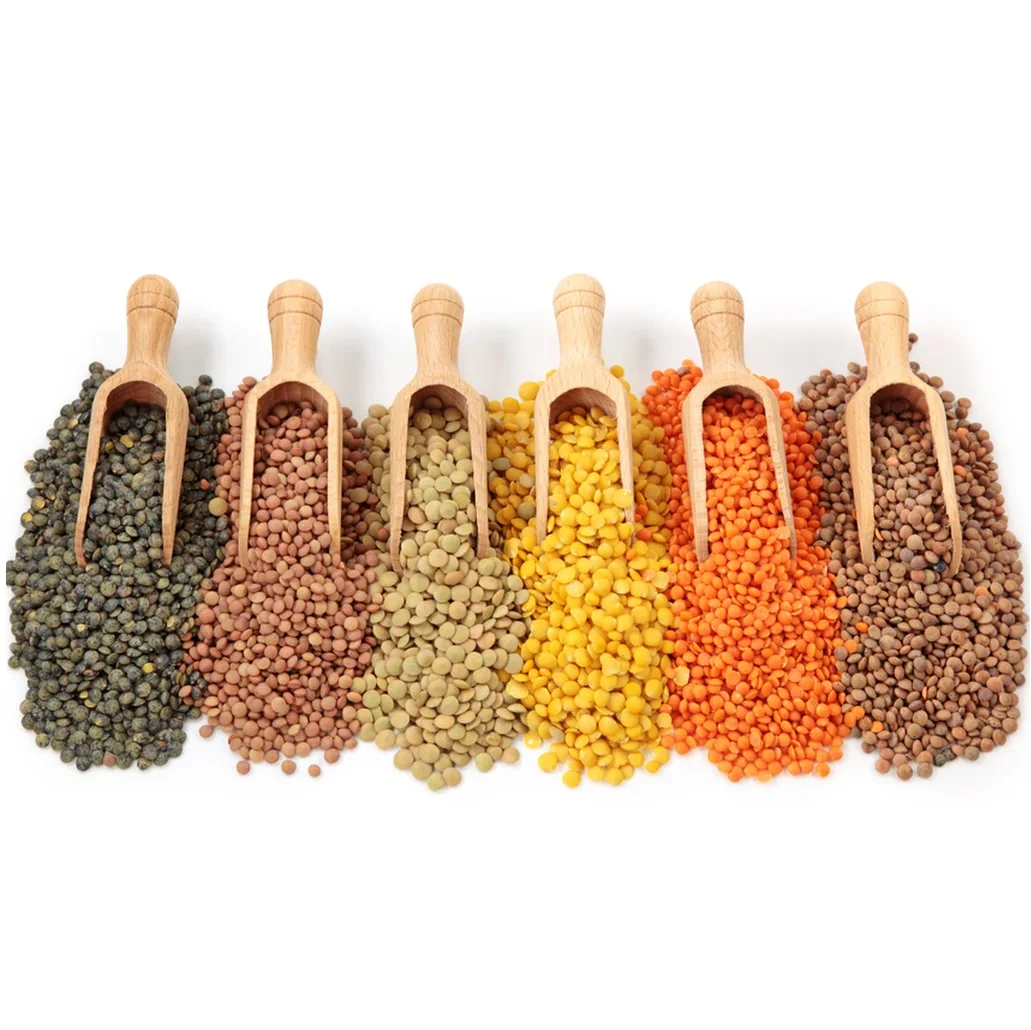 25 кг упаковочная сумка высшего качества новый урожай Органическая Лучшая цена зерно Красной чечечевицы от казахского производителя