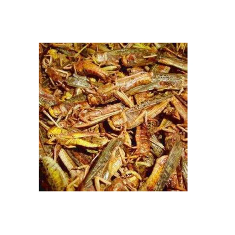 Wholesale high protein private label pet food bird dried grasshopper