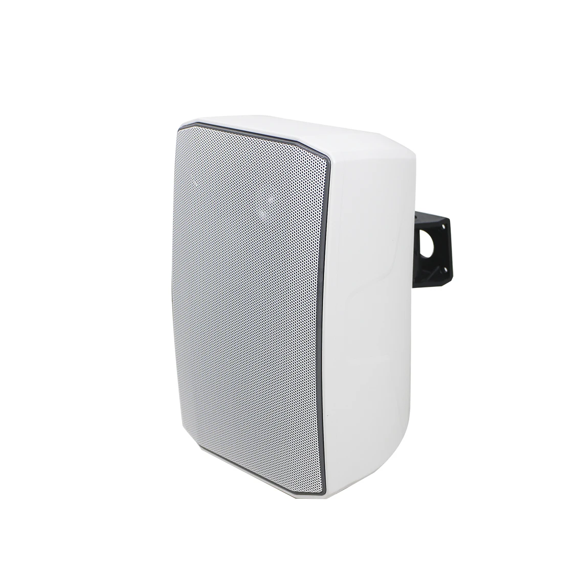 T 6 Inch Subwoofer 30W Wall Mount Loudspeaker Outdoor Waterproof Wall Speaker With 0.75-inch tweeter