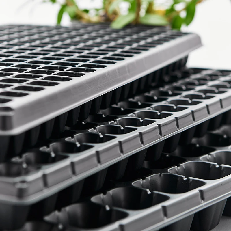 Agricultural Durable Broccoli 98 Cells Plastic Agriculture Seed Growing Plant Tray