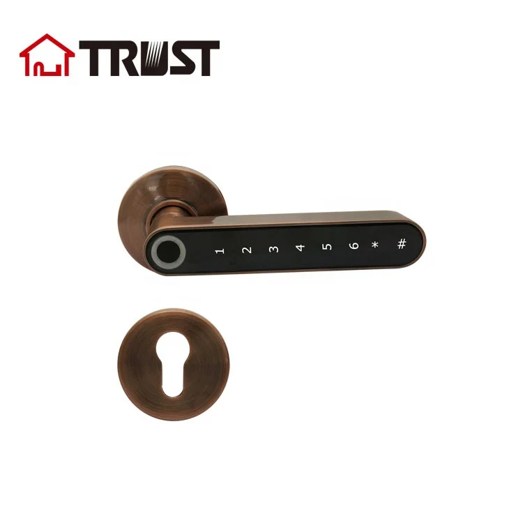 
TRUST 9402-AC Biometric Fingerprint Zinc Alloy Smart Electric Handle Door Lock For Home 