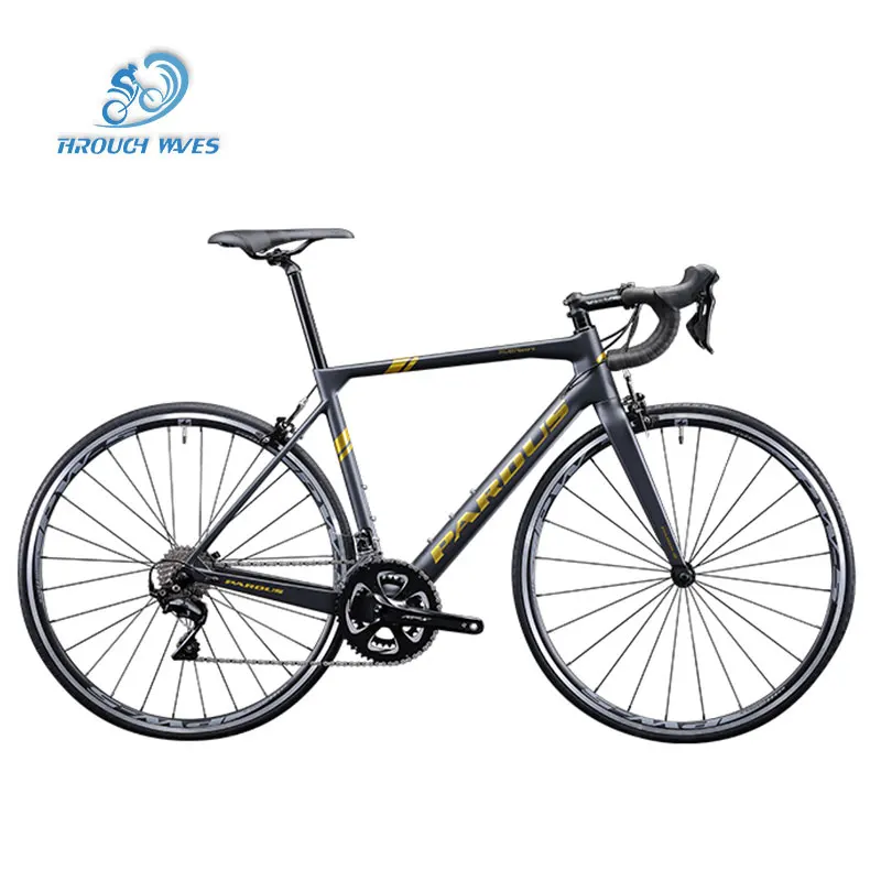 Pardus Robin Sport Road bike vehicles Carbon fibre integrated highway PARDUS Robin Road bike