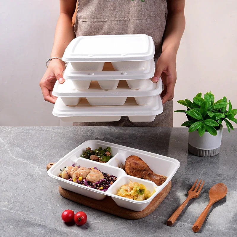 Two-compartment flip type disposable biodegradable sugarcane lunch box